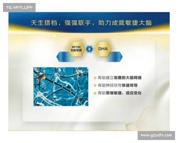 提升角色实力的七大关键因素助你成为最强玩家的秘诀 提升角色实力的七大关键因素助你成为最强玩家的秘诀