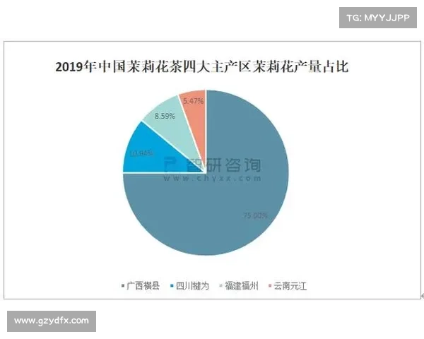 全面解析欧洲超级联赛的运作机制与未来发展前景