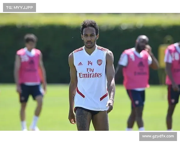 奥巴梅扬为何选择不代表法国队出战其背后的原因与个人选择分析